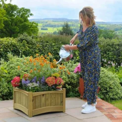 Deals Root Sprigs Store -Deals Root Sprigs Store 161420 1