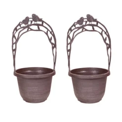 Narcissus 'T?te-?-T?te' Collection With Planters And Compost -Deals Root Sprigs Store 201203 3