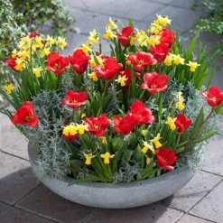 Deals Root Sprigs Store -Deals Root Sprigs Store 600243 1