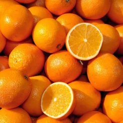 Pair Of Large Orange Trees -Deals Root Sprigs Store 680091 2